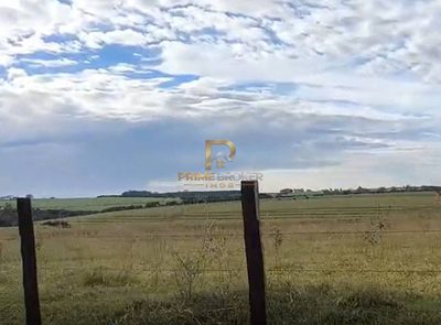 Terreno, 29 hectares - Foto 1