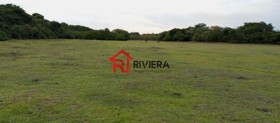 Terreno, 250 hectares - Foto 2