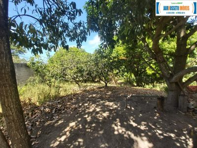 Terreno, 2474 m² - Foto 5