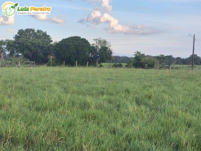 Terreno, 340 m² - Foto 2