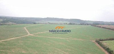 Fazenda, 293 hectares - Foto 2