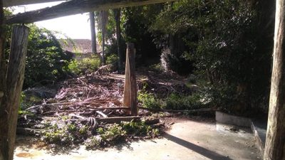Terreno, 3200 m² - Foto 5