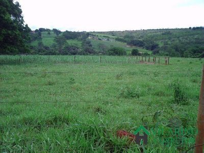 Fazenda, 24 hectares - Foto 2