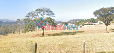 Terreno, 6 hectares - Foto 4