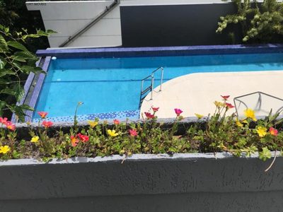 Casa, 4 quartos, 470 m² - Foto 3