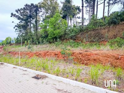 Terreno, 245 m² - Foto 2