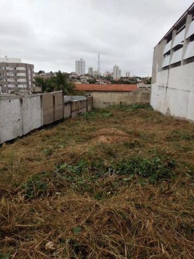 Terreno - Foto 4