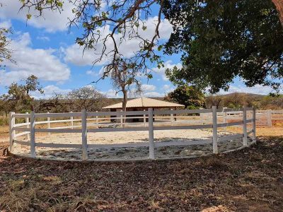 Terreno, 2 hectares - Foto 2