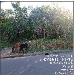 Terreno, 50 m² - Foto 1