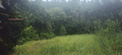 Terreno, 3 hectares - Foto 5