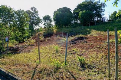 Terreno, 366 m² - Foto 5