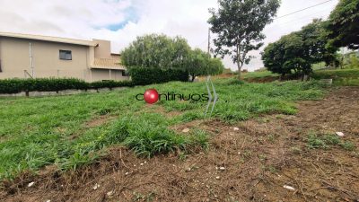 Terreno, 1000 m² - Foto 3