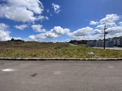 Terreno, 396 hectares - Foto 3