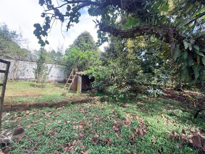 Terreno, 5000 m² - Foto 5