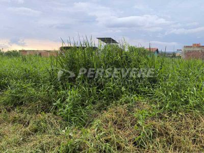 Terreno, 480 m² - Foto 5