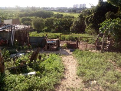 Terreno, 3700 m² - Foto 2