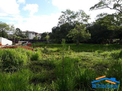 Terreno, 1483 m² - Foto 3