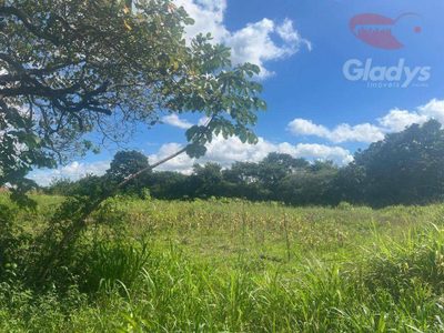 Terreno, 2 hectares - Foto 4