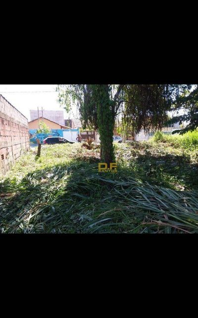 Terreno, 250 m² - Foto 2