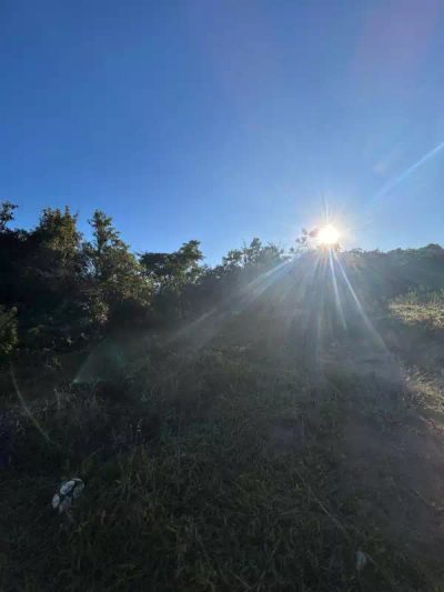 Chácara, 1 quarto, 5000 m² - Foto 2