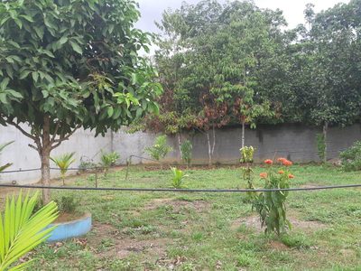 Terreno - Foto 2