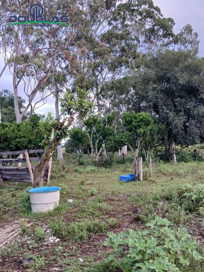 Terreno - Foto 5