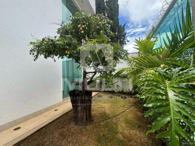 Casa, 4 quartos, 378 m² - Foto 2