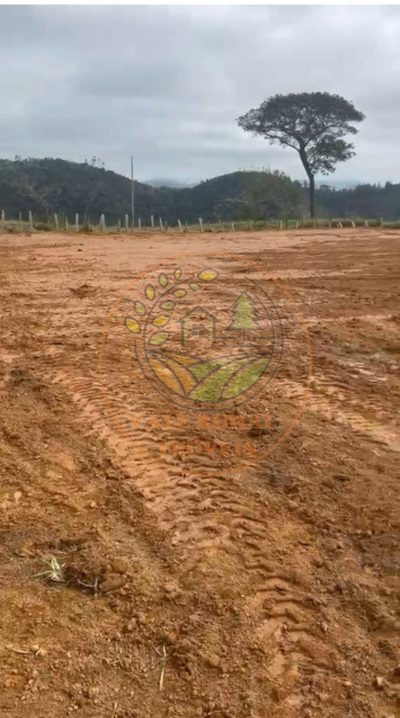Chácara - Foto 2