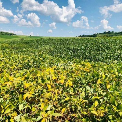 Fazenda, 208 hectares - Foto 3