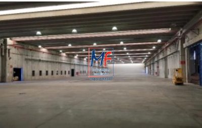 Depósito-Galpão, 23397 m² - Foto 4