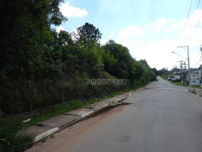 Terreno, 7986 m² - Foto 5