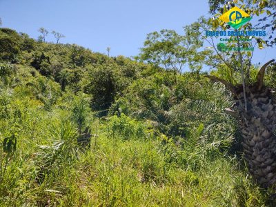 Fazenda, 3 quartos - Foto 5