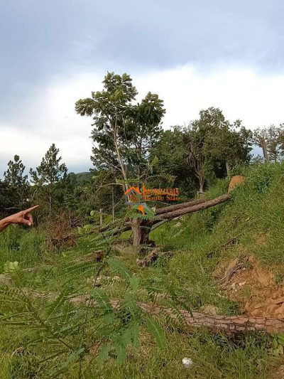Terreno, 1000 m² - Foto 5