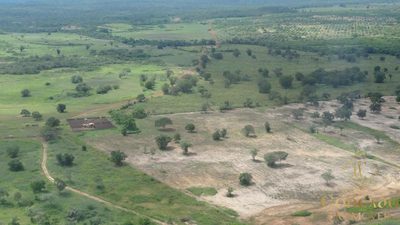 Fazenda, 176000 hectares - Foto 1