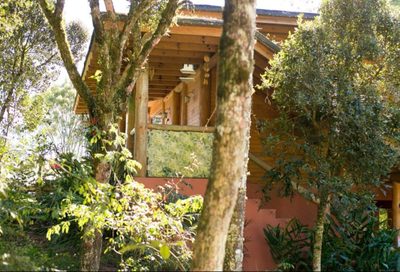 Chácara, 4545 m² - Foto 2