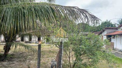Terreno, 2 hectares - Foto 3