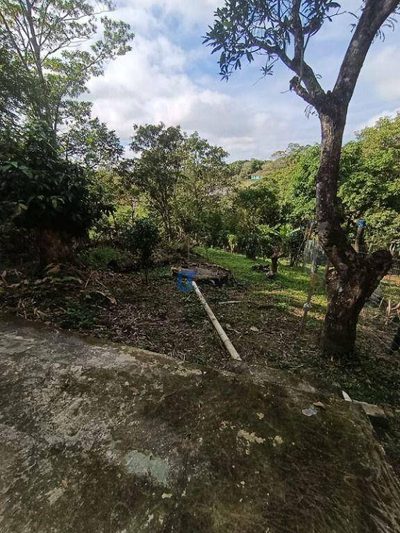 Chácara, 3 quartos, 1250 m² - Foto 5