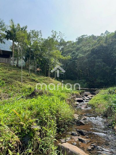 Sítio, 2 hectares - Foto 5