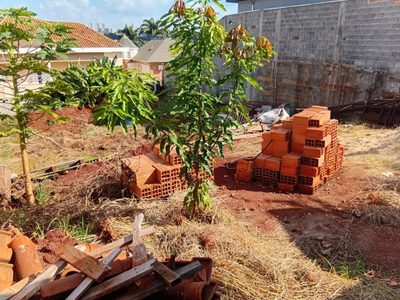 Terreno, 470 m² - Foto 4