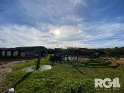 Sítio, 1 quarto, 19999 m² - Foto 4