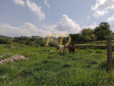 Terreno, 3300 m² - Foto 2