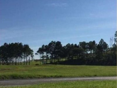 Terreno, 1 hectares - Foto 1