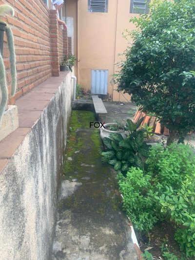 Casa, 3 quartos, 300 m² - Foto 4