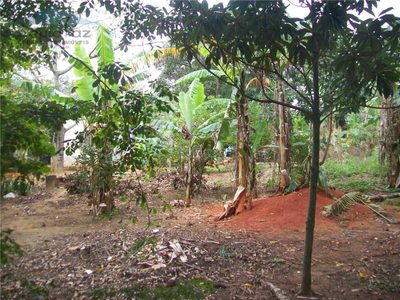 Terreno, 548 m² - Foto 5