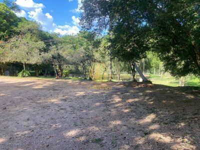 Terreno, 3 hectares - Foto 3