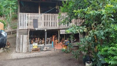 Sítio, 2 quartos, 5000 m² - Foto 3
