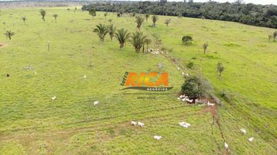 Fazenda, 480 hectares - Foto 3