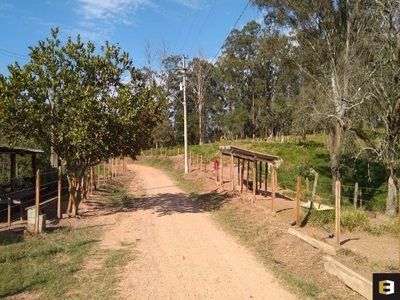 Terreno, 1800 m² - Foto 1