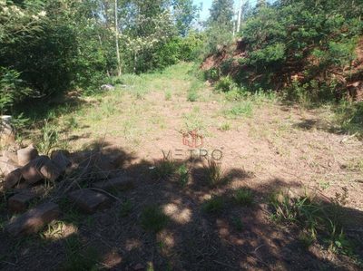 Sítio, 4 quartos, 9000 m² - Foto 4