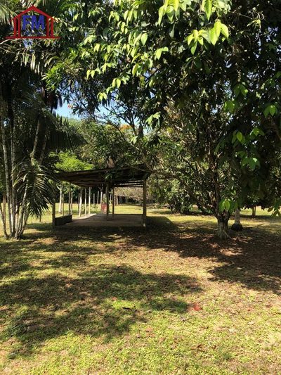 Sítio - Foto 5